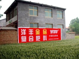 平阳如何让墙体广告展现最大化效果