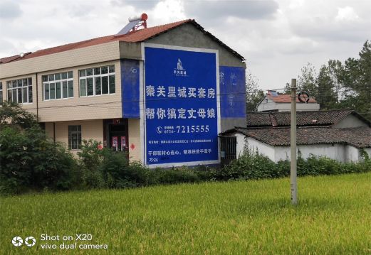 平阳决定墙体广告价格的因素有哪些?
