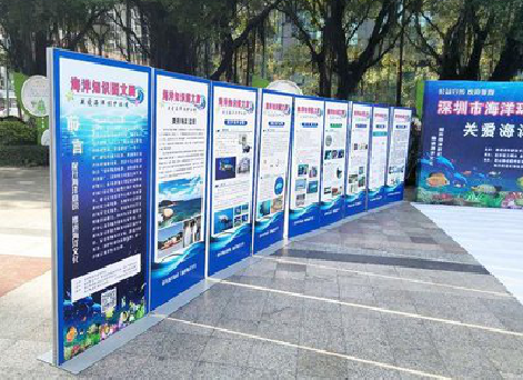 平阳KT板的种类和知识。